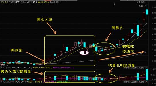 创业板股票购买限制：你无法购买创业板股票的原因
